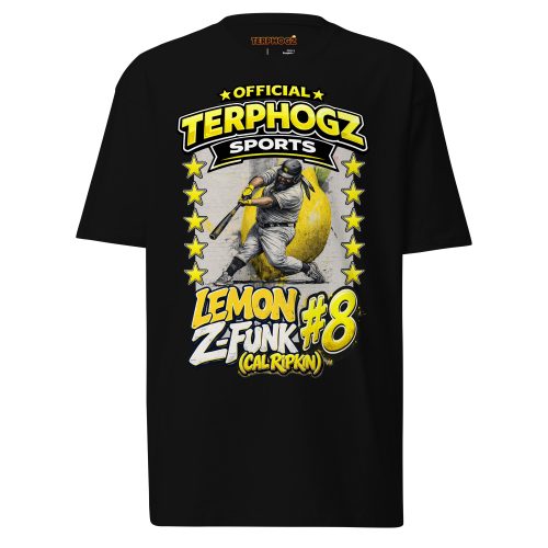mens-premium-heavyweight-tee-black-front-6a46c10858957.jpg
